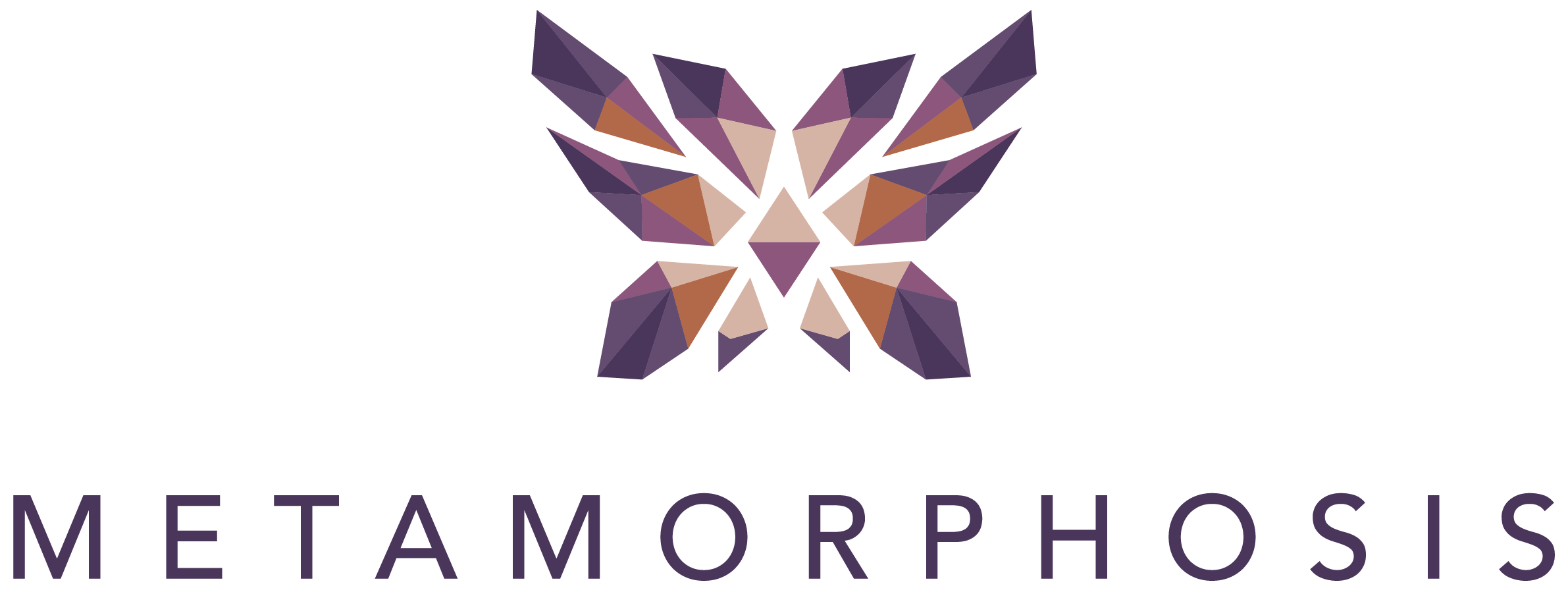 Metamorphosis Ventures offers coaching and programs
